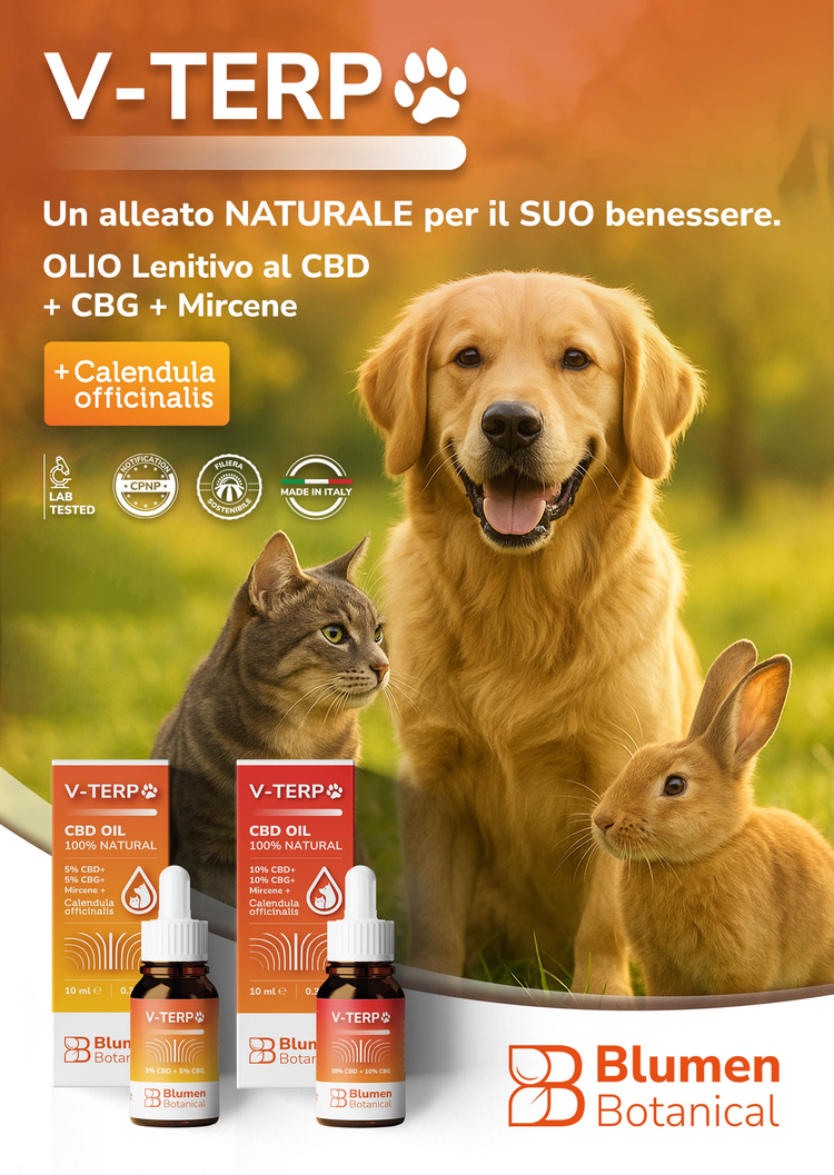 Olio CBD V-TERP Formula - Equilibrio lenitivo