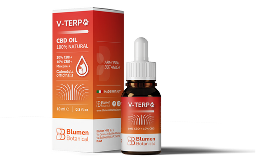 V-TERP 10