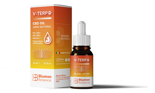 V-TERP 5